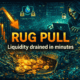 Rug pull scam illustration liquidity drained in minutes