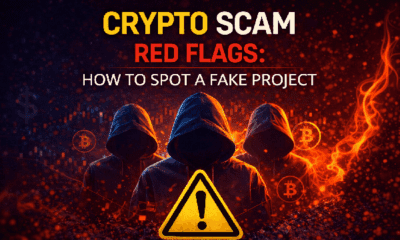 Crypto scam red flags checklist: how to spot a fake project