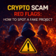 Crypto scam red flags checklist: how to spot a fake project