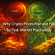 Why Crypto Prices Rise and Fall So Fast Market Psychology
