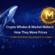 Crypto Whales & Market Makers How They Move Prices guide for beginners